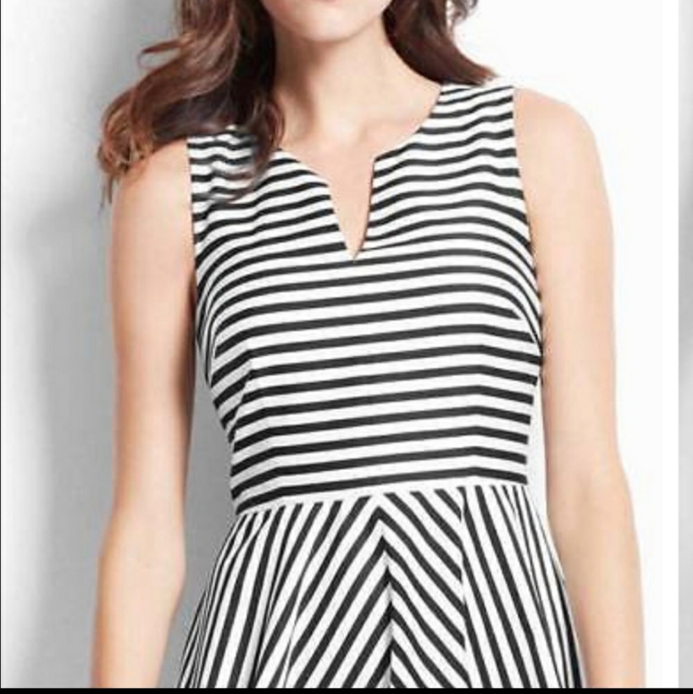 Ann Taylor Dress Size 6